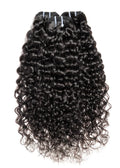 Burmese Curly