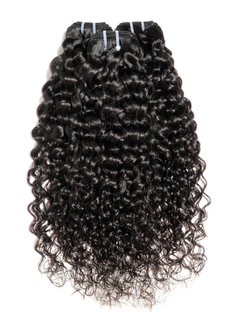 Burmese Curly